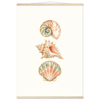Drei sanft gemalte Muscheln auf warmem elfenbeinfarbenem Hintergrund als maritimes Wandbild mit magnetischen Holzleisten.
