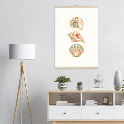 Maritimes Muschelposter mit drei Muschelmotiven in einem hellen Wohnzimmer.