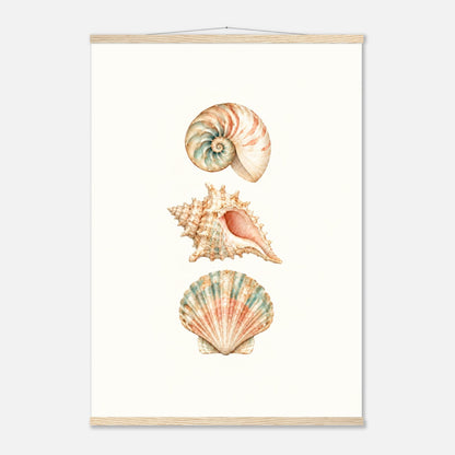 Muschelposter im Hochformat mit drei Aquarell-Muscheln und Naturholzleisten.