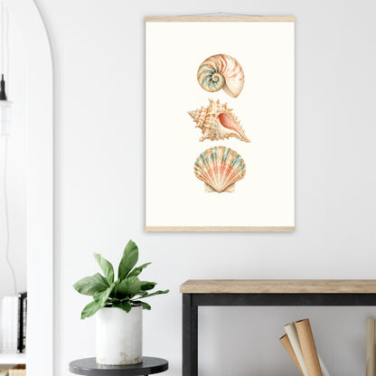 Seashell poster with magnetic wooden hangers displayed above a minimalist sideboard.