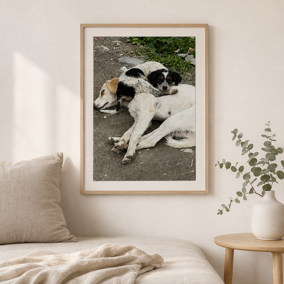Framed photograph of a mother dog with her puppy in India displayed in a bright, natural living space
