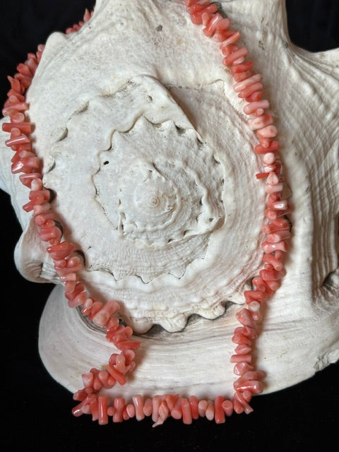 Vintage-Korallenkette in Rosé und Lachs dekorativ auf einer großen Muschel