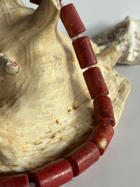 Detail der hellen Stelle an einer roten Schaumkorallenwalze