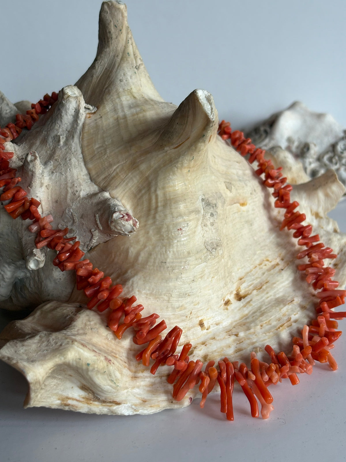 Vintage Astkorallenkette in roten und orangefarbenen Nuancen auf einer Muschel