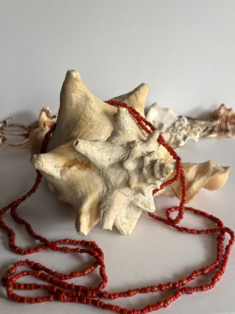 Rot-orangefarbene Vintage-Korallenkette mit Scheiben- und Walzenperlen über einem großen Schneckenhaus