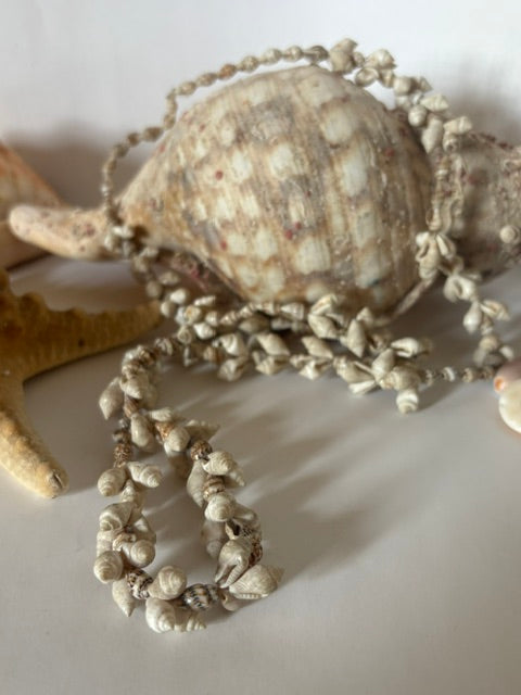 Vintage-Muschelkette mit kleinen Schneckenhäusern auf großer Muschel