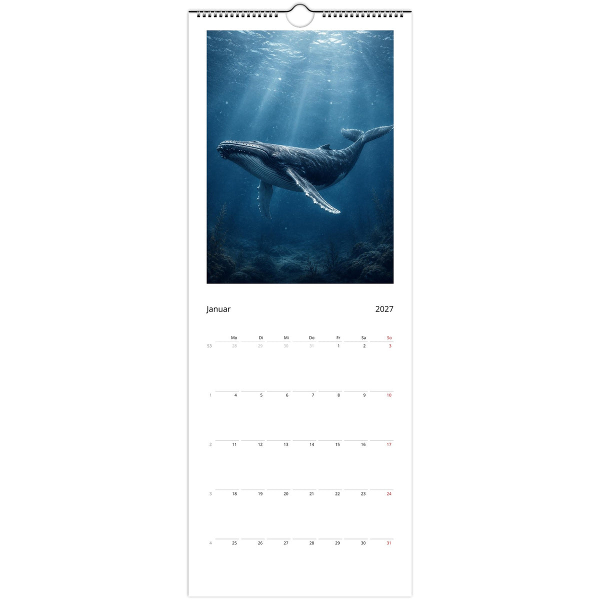 Schmaler maritimer Wandkalender 2027 mit Walmotiv im Januar dekorativ an einer hellen Wand präsentiert
