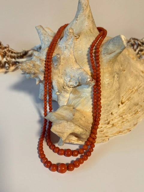 Zweireihige Vintage Korallenkette in Rot-Orange auf einer großen Muschel dekoriert