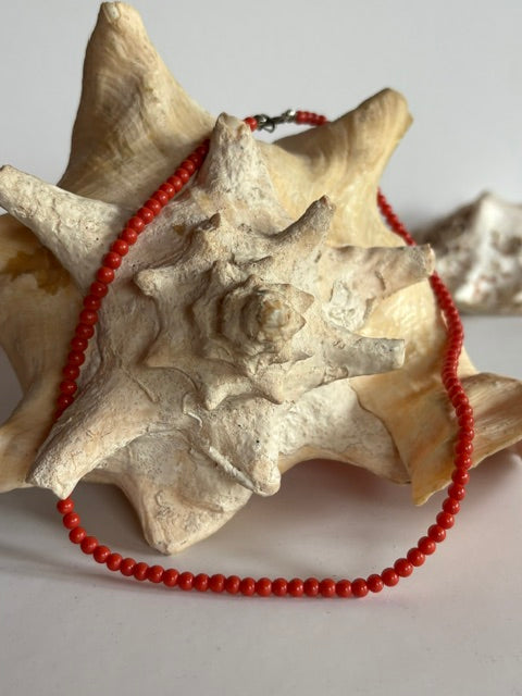 Rote Vintage-Korallenkette mit kleinen runden Perlen vor einer großen Muschel