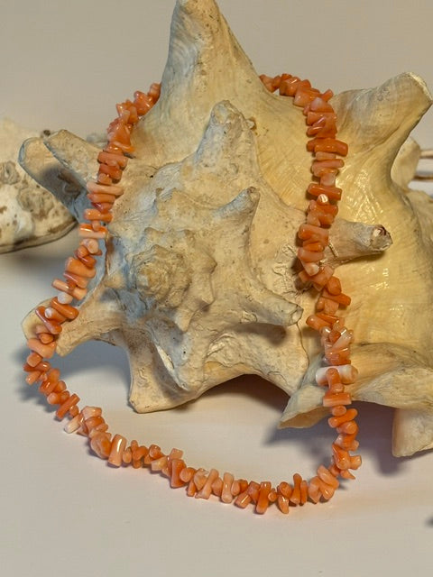 Vintage-Korallenkette mit organischen Korallenstücken auf einer hellen Muschel