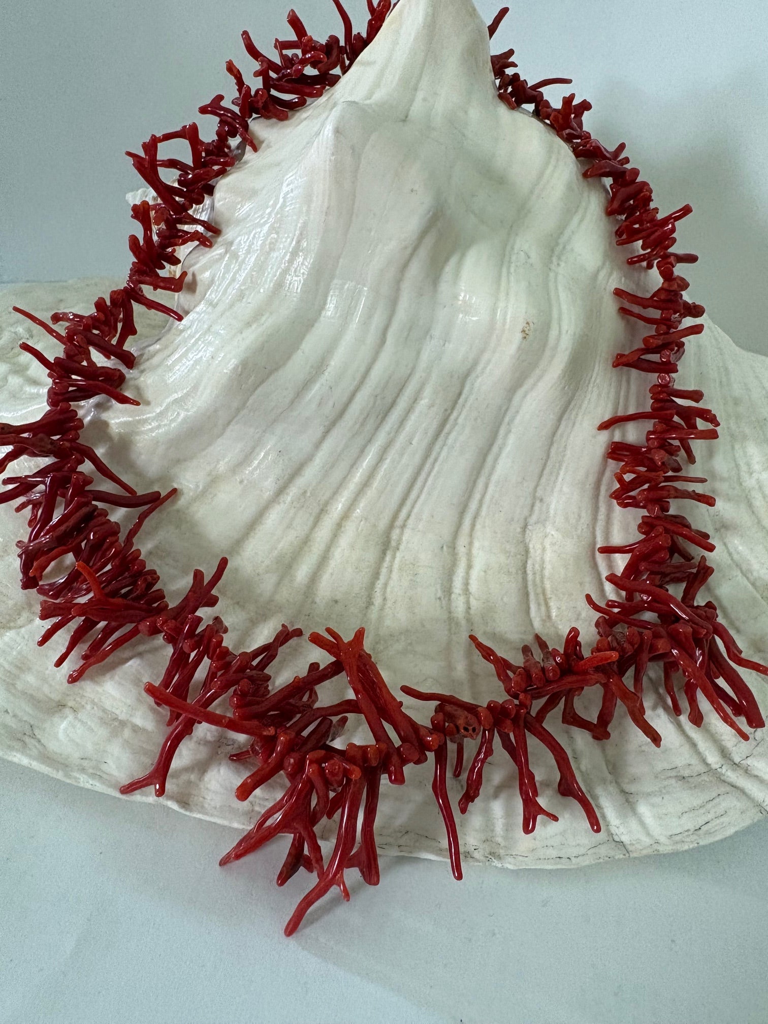 Elegante rote Korallenkette mit vergoldetem Karabinerverschluss