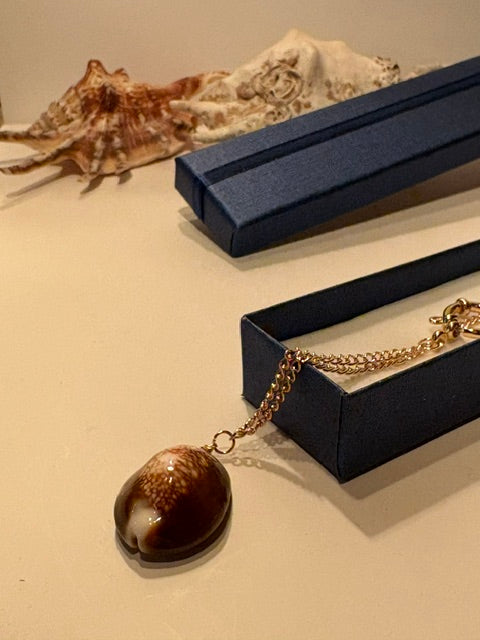 Natural brown cowrie shell pendant with distinctive cream markings on a delicate gold-tone chain.