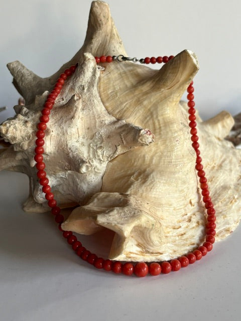 Rote Vintage-Korallenkette mit Metallverschluss auf einem großen Meeresschneckenhaus