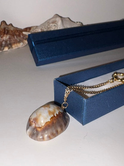 Golden Cowrie handmade shell necklace with delicate gold-tone chain and functional side ring clasp displayed on a blue jewelry box.