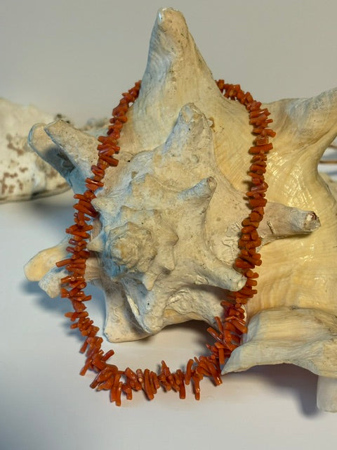 Rote Vintage-Korallenkette aus organisch geformten Korallenstücken auf einer Muschel