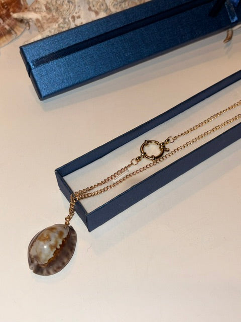 Natürlicher braun-cremefarbener Kaurimuschel Anhänger an einer goldfarbenen Edelstahlkette neben einer blauen Schmuckschachtel.