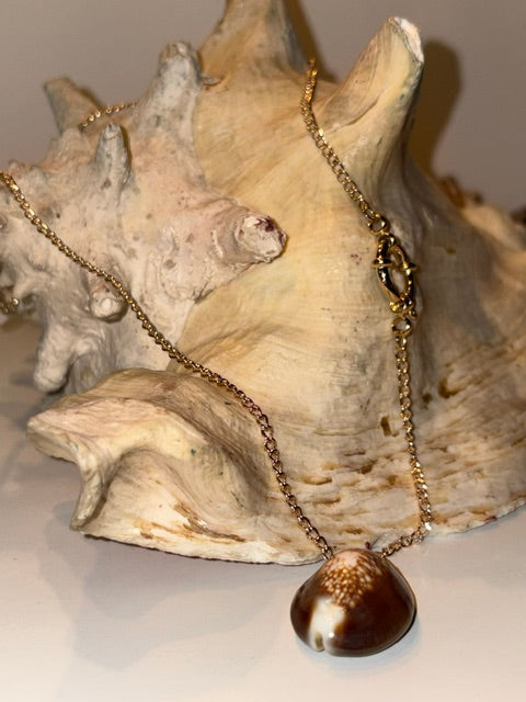 Handcrafted cowrie shell necklace with warm brown shell pendant draped over a large natural seashell.